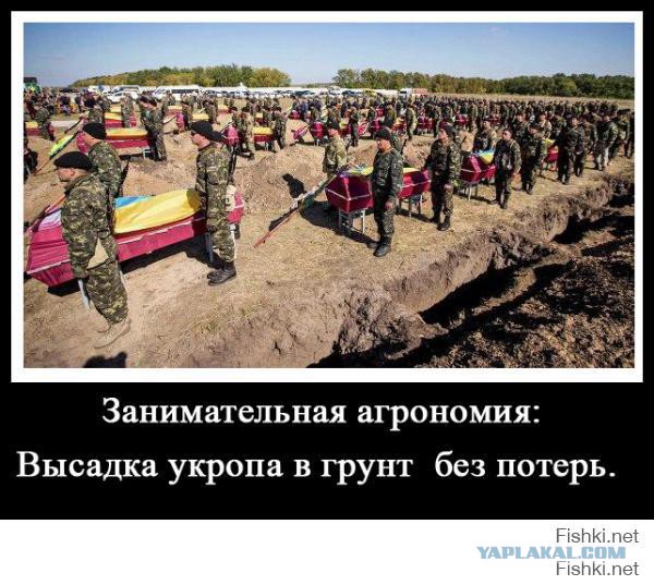 Когда американцы начнут на Украине войну?