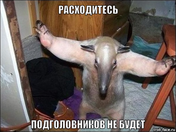 Как я машину без подголовников купил)