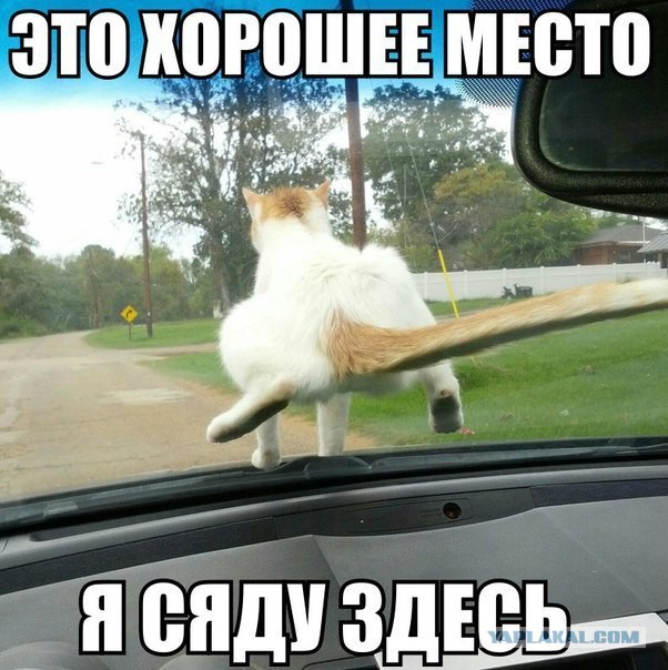 Позитивные картинки