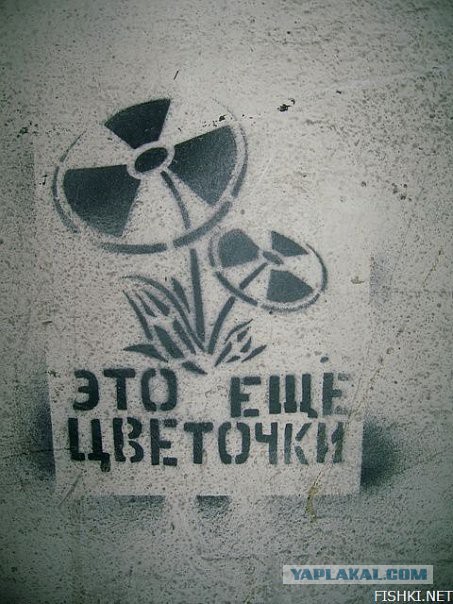 34 правдивых надписей на стенах