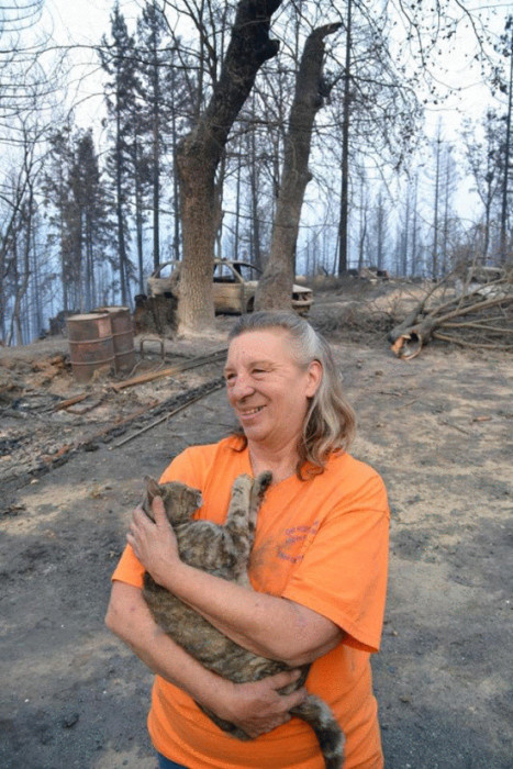 Кошка, пережившая лесной пожар в Калифорнии