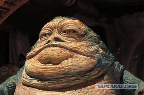 Припозднившийся собакочетверг