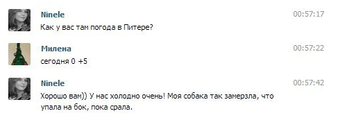 Смешные комментарии из социальных сетей