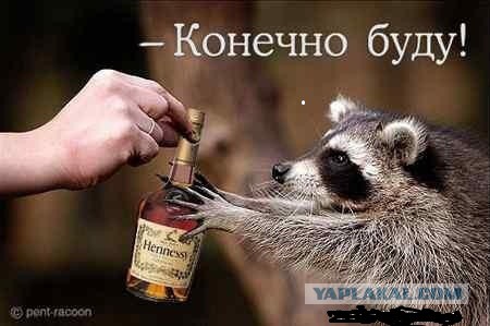 Wargaming 29