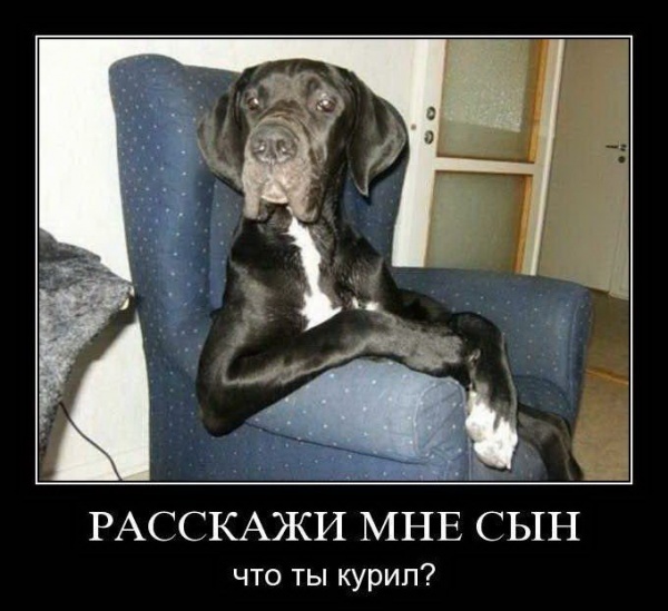 Поиграл в GTA и не сдержался..
