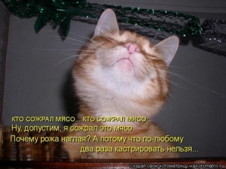 Картинки и демотиваторы