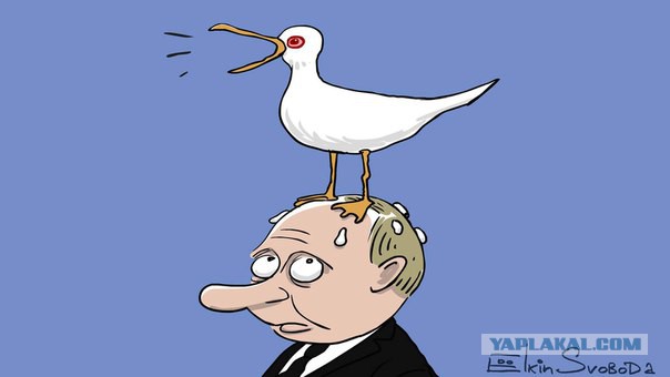 Уничтожают документы по фильму чайка