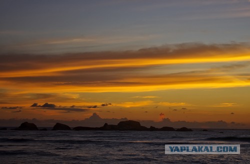 Самостоятельное путешествие в Шри-Ланку