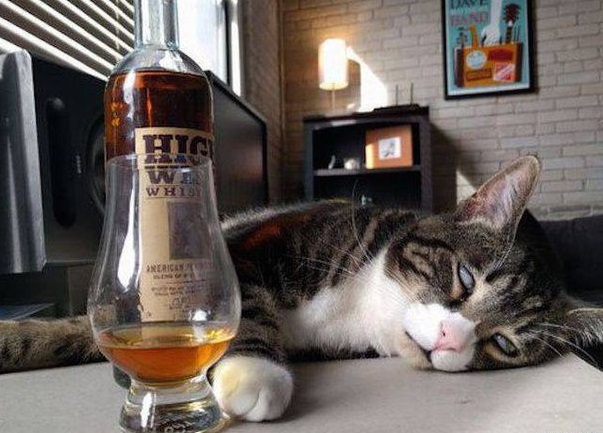 Воскресная подборка картинок