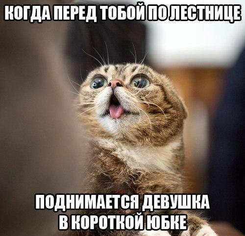 Фотоподборка на пятницу.