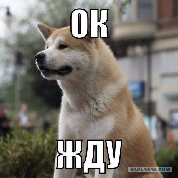 Картинки на пятницу
