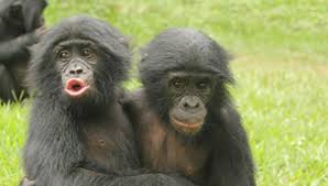 Выпьем за любовь!