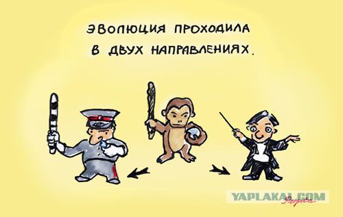 Свежая подборка свежих "баянов"