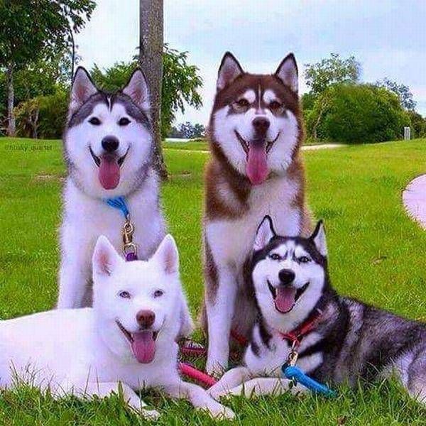 Ассорти картинок из сети