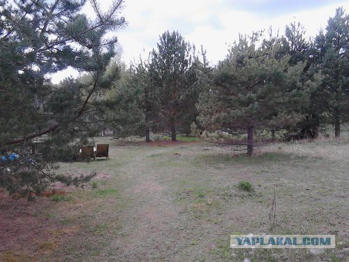 Хорошо иметь домик в деревне. История из жизни.