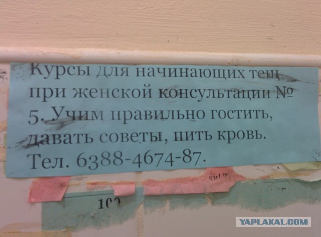"Родственники", которых мы получаем, побывав в ЗаГСе