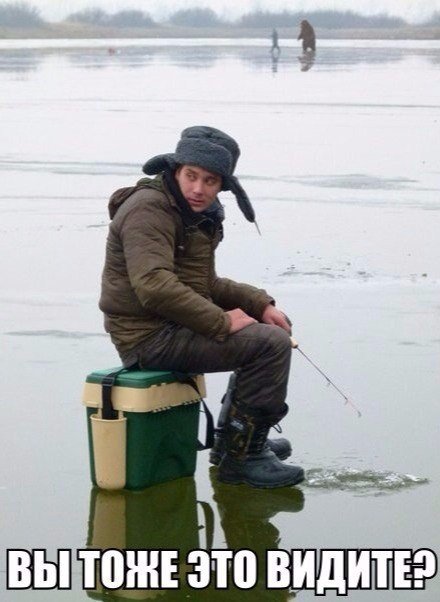 Фото всякое разное