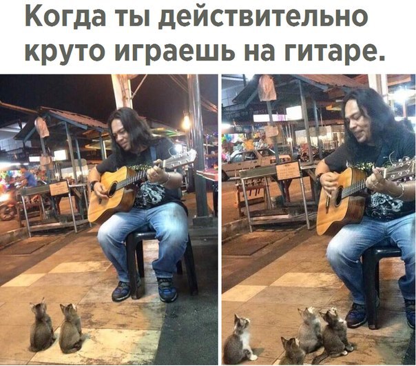 Весёлые картинки