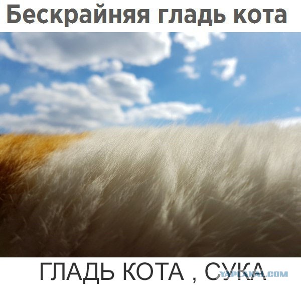 130 картинок для поднятия настроения!