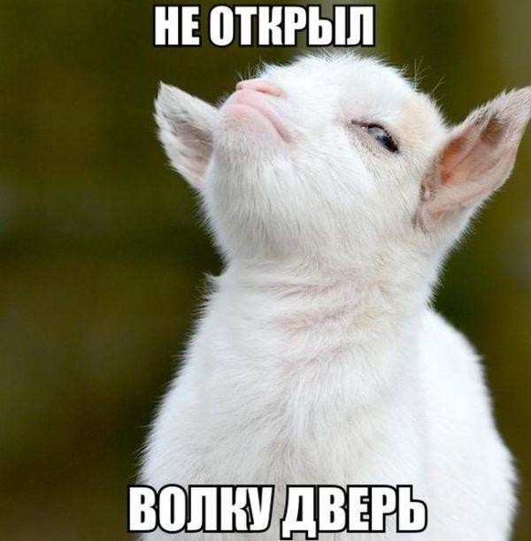 130 картинок для поднятия настроения!