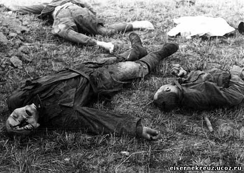 День Национального траура в Германии. Школьник из ЯНАО рассказал в бундестаге о «невинных солдатах вермахта»