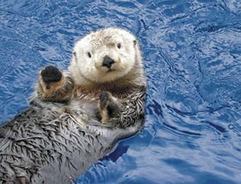 Осторожно, лженаука!