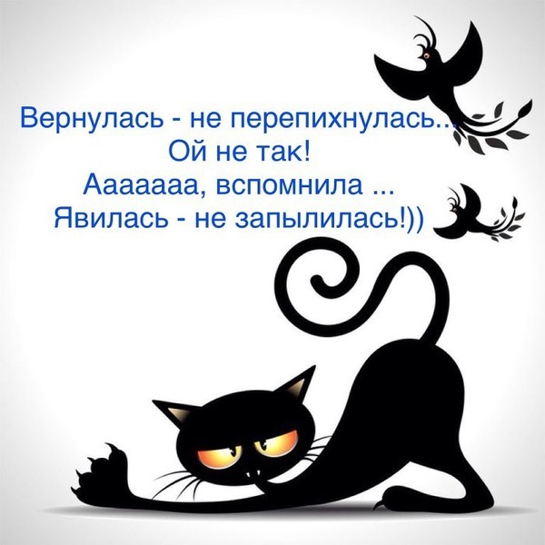 Ой, маразм, маразм,  не маразмь меня!
