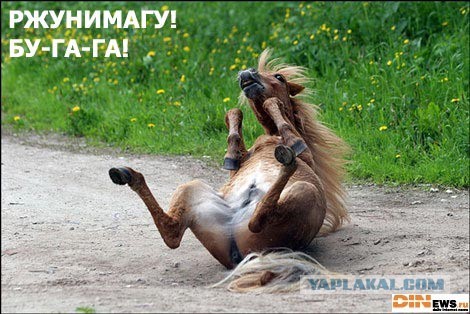 Фальсикицаия на выборах... ЗАЧЕМ?