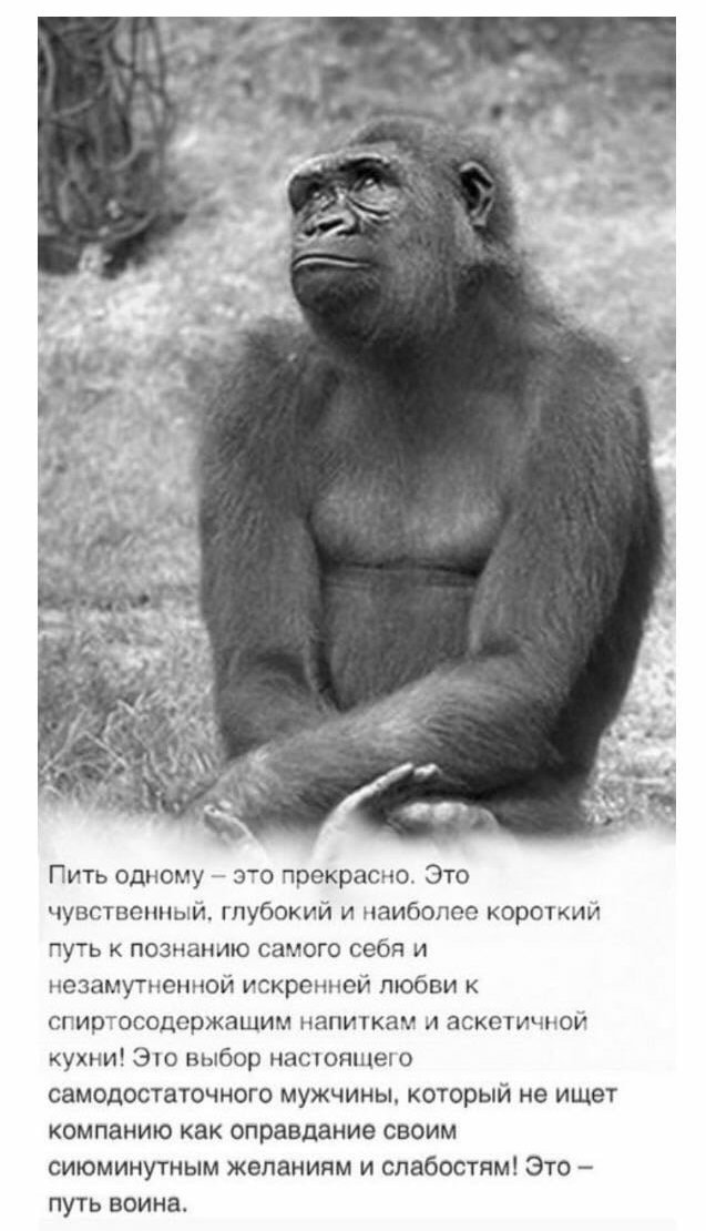 Воскресной ностальгии пост, в картинках прост