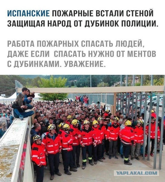 Подборка интересных и веселых картинок