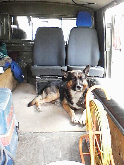 Самые смешные снимки животных за 2012 год