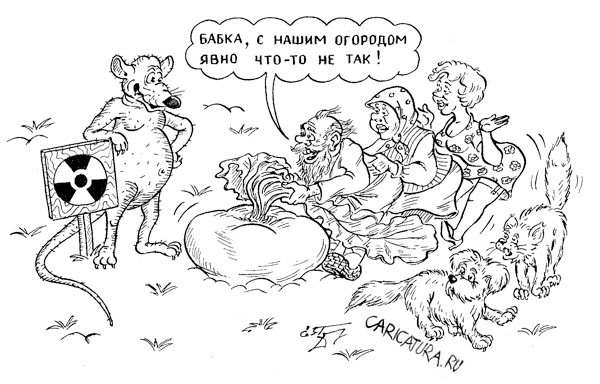 Пикчевая ерунда
