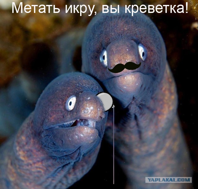 Деградация и тлен