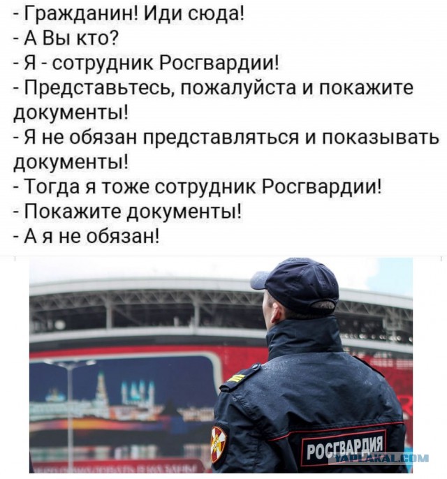 С какой стати?