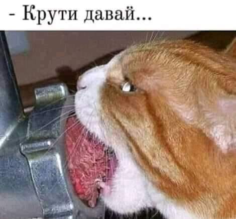 Разных картинок пост 09/09/19