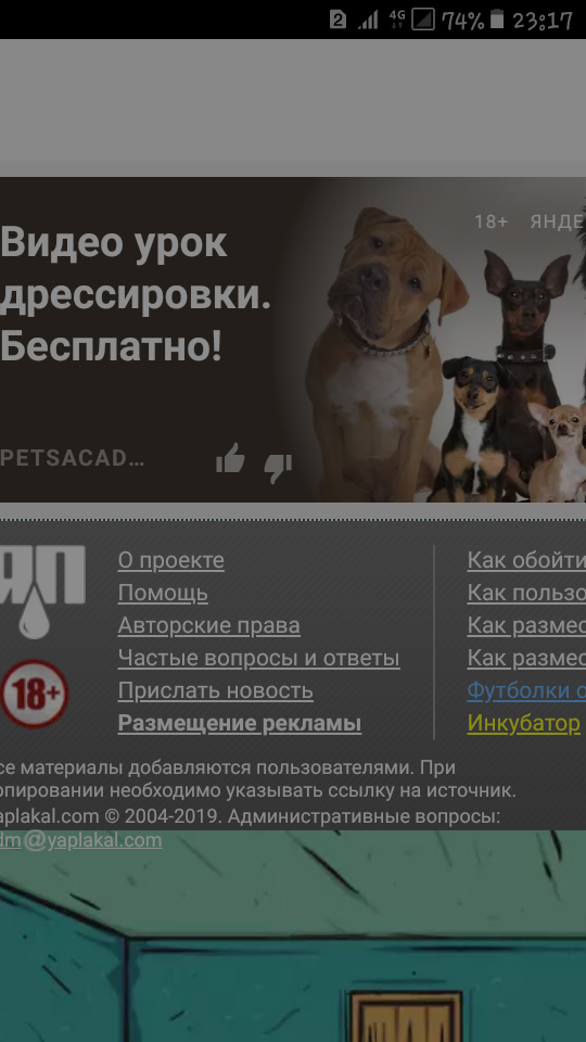 Прелести жизни разведенки