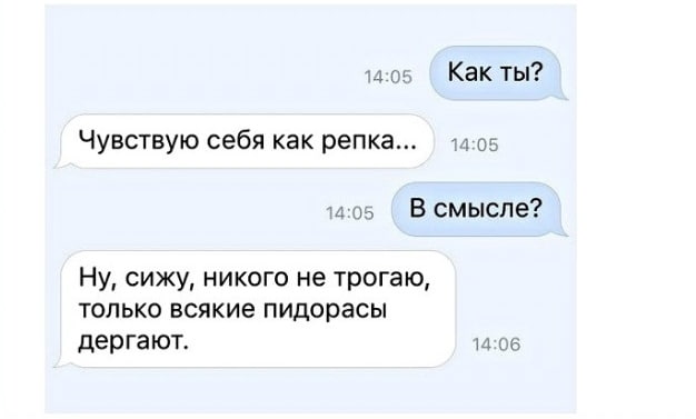 Прикольные картинки и фото с надписями и коментами????