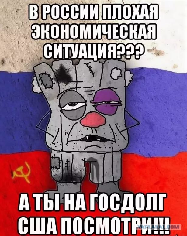Власти взяли под контроль сбор грибов, ягод и берёзового сока
