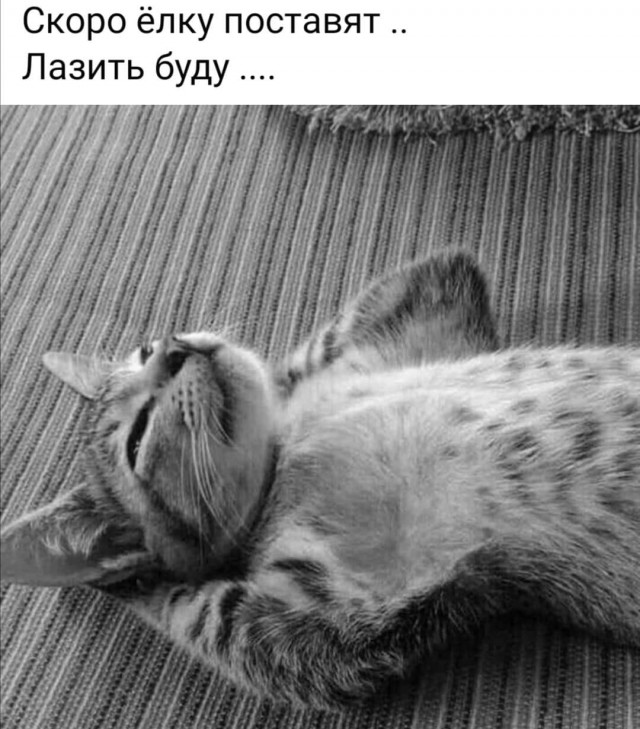 Кретинки