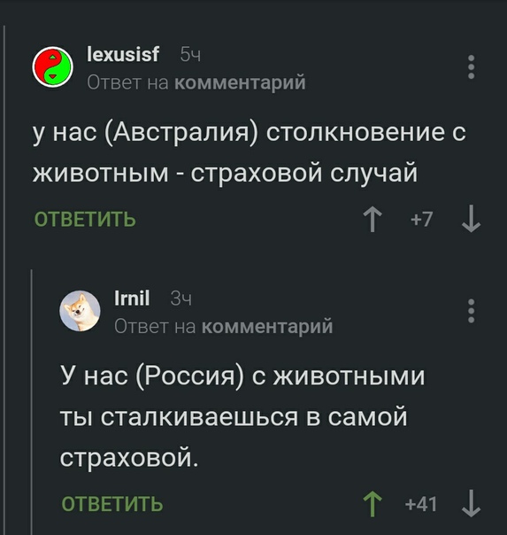 Немного картинок для настроения 23.12.19