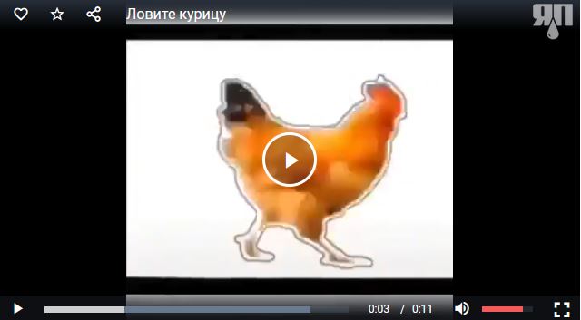 Кому нечем заняться: ловите курицу, нажимая на паузу