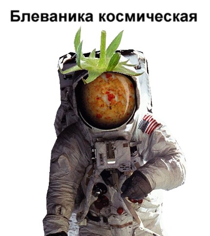 Фотожаба: Лето, фрукты, генетика!