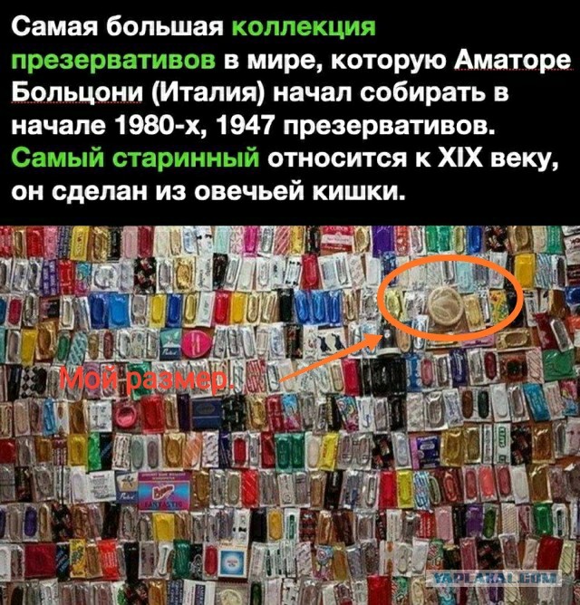 Бредзона 12.07.2020