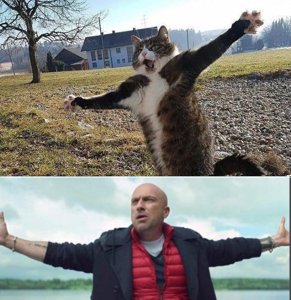 Котаны со странностями