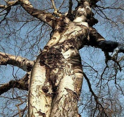 Вот как бороться с такими "редисками"?