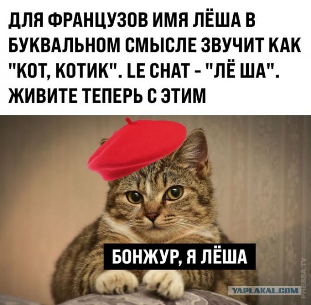 Бредзона 08.02.2021