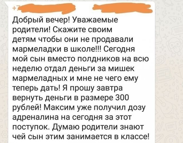 Немного о родительских чатах (в картинках)