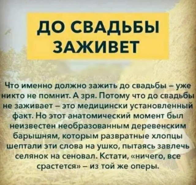 Бредзона 22.08.21