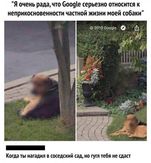 Картинки и мемы для настроения 27.09.2021