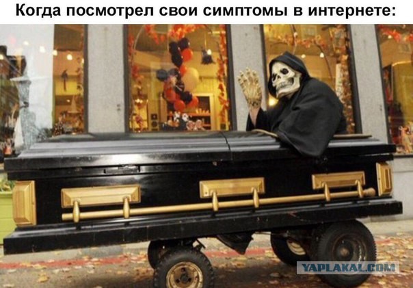 Так себе картинки 13.12.21
